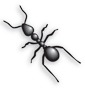 Marching Ants logo testimonial