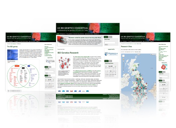 websites-ibd